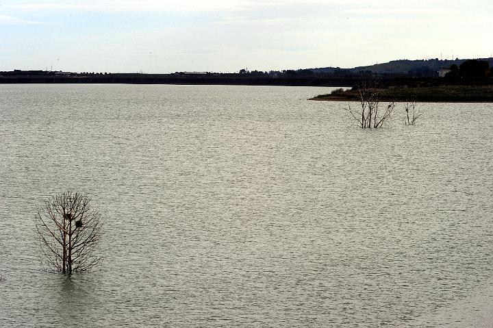 Biviere di Lentini 23.1.2011 (169).jpg